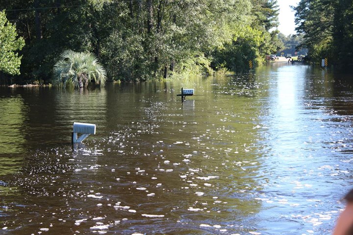 effects of floods